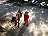 IMG_0414.jpg