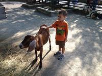 IMG_0415.jpg
