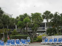 IMG_0362.JPG