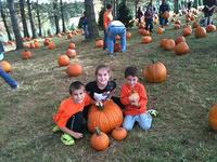 IMG_3013.jpg