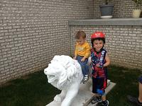 IMG_2082.jpg