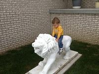 IMG_2083.jpg