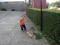 IMG_2151.jpg