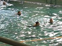 IMG_2178.jpg
