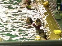 First time at Millsop pool.