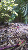 100_0027.JPG