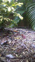 100_0028.JPG