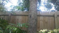 100_0061.JPG