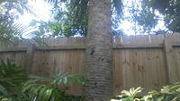 100_0062.JPG