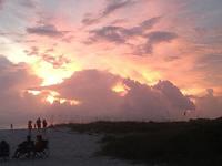 IMG_2425.jpg