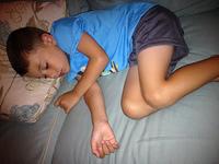 IMG_2445.jpg