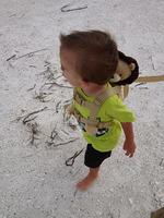 IMG_2448.jpg