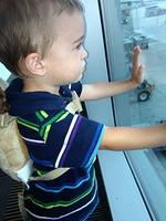 IMG_2495.jpg