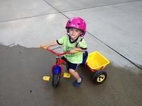 IMG_2253.jpg