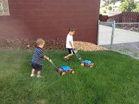IMG_2629.jpg