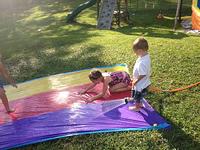 IMG_2655.jpg