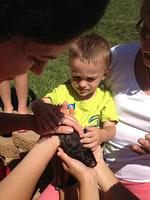 IMG_2667.jpg