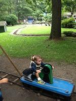 IMG_2558.jpg