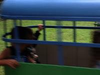 IMG_2584.jpg