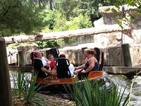 IMG_2334.jpg