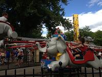 IMG_2351.jpg