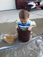 IMG_2239.jpg
