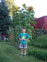 20140829_190510.jpg