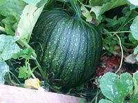 20140829_190702.jpg