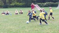 20140913_135115.jpg