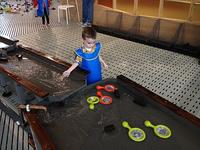 IMG_3772.jpg