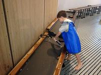IMG_3773.jpg