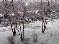 IMG_4169.JPG