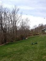 IMG_4292.JPG