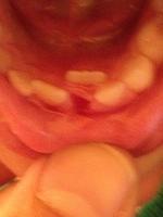 IMG_4558.JPG