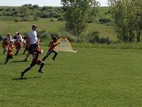 IMG_4600.JPG