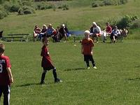 IMG_4601.JPG