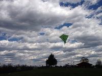 IMG_4370.JPG