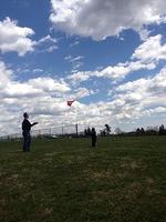 Mini-Mini-Me Flying his Angry Bird Kite