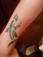 20140713_203324