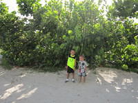 IMG_0722.JPG