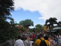 IMG 0840