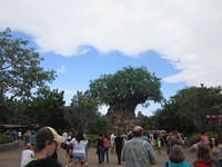 IMG 0841