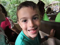 IMG 0844