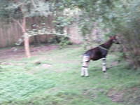 IMG 0845