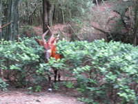 IMG 0846