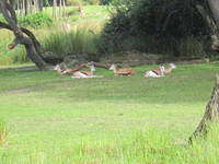 IMG 0848