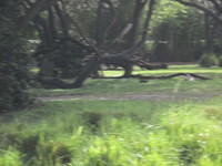 IMG 0849