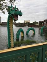 IMG 0856