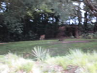 IMG 0856