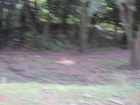 IMG 0857